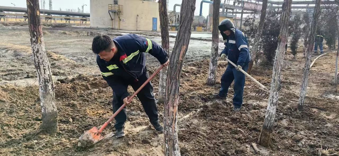 c6e9ab04-ff27-11ef-9be0-d46abe133a8a.jpg c6e9ab04-ff27-11ef-9be0-d46abe133a8a.jpg