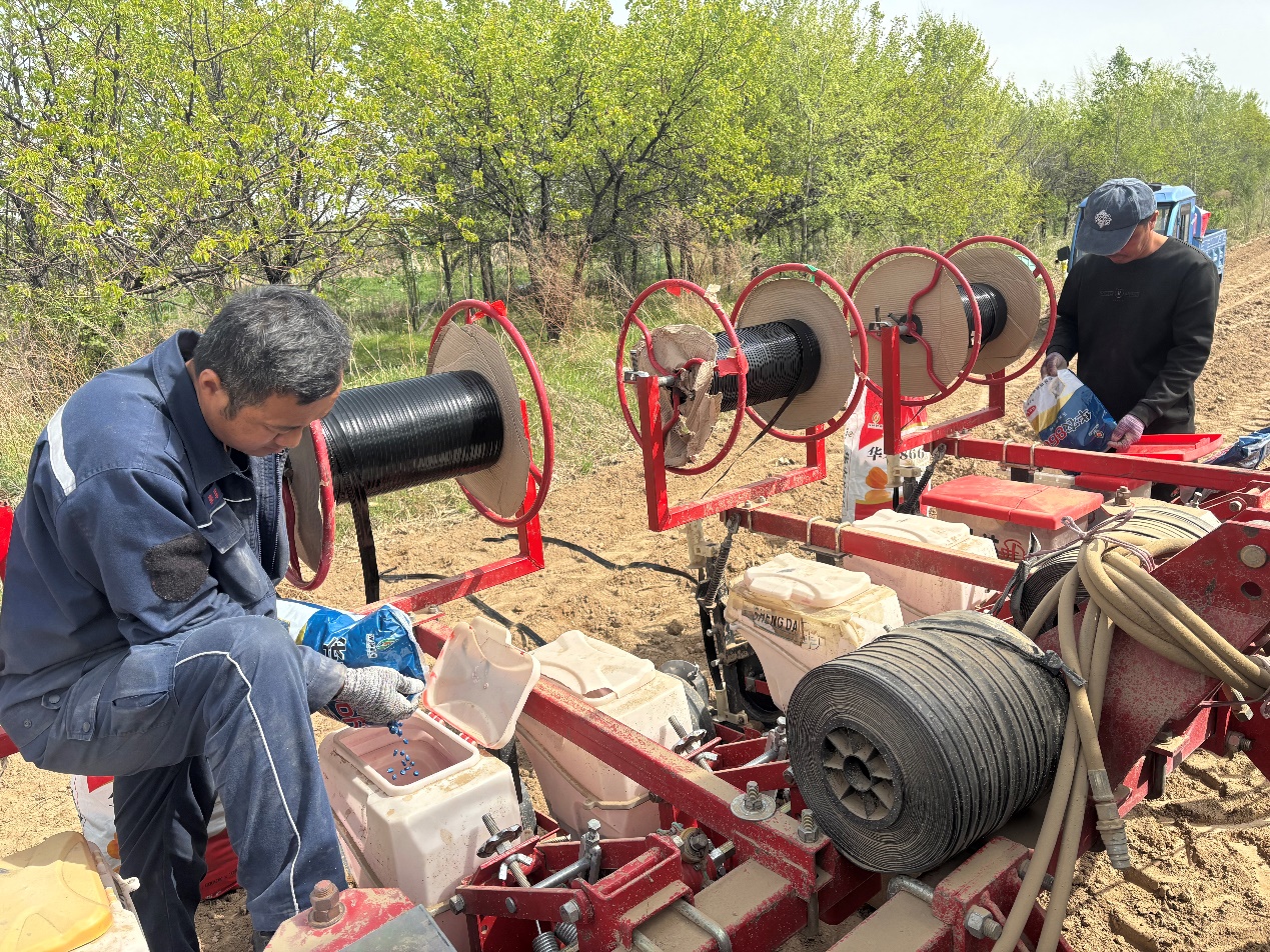 c0039a06-21a0-11f0-8368-8cbd52c5c617.jpg c0039a06-21a0-11f0-8368-8cbd52c5c617.jpg